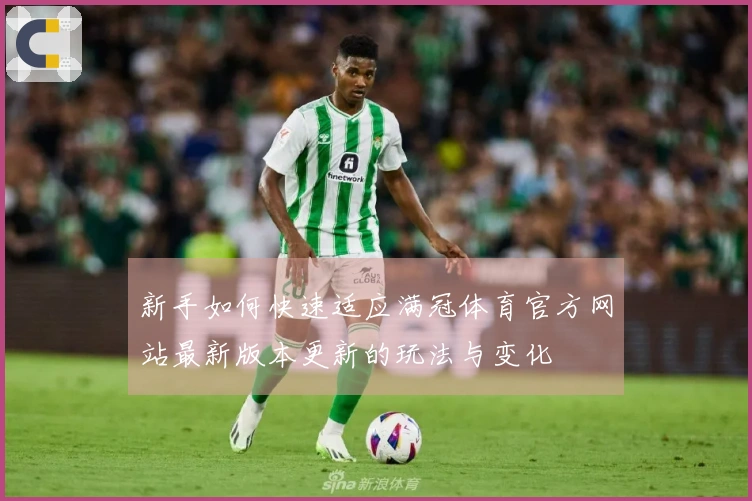 新手如何快速适应满冠体育官方网站最新版本更新的玩法与变化